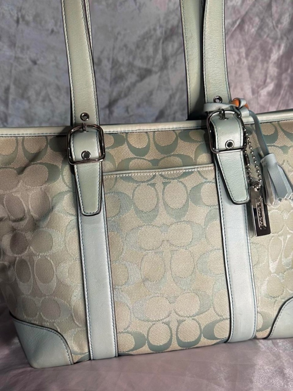 Vintage Y2K Coach Signature Mint Hampton Buckle Tote Bag 6042